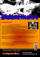 Bluland Healers Poster image