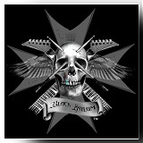 Black Asylum logo image