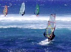 sailboarding