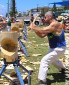 woodchopper, wocc image